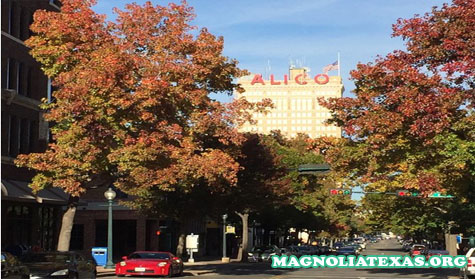 10 Hal Yang Harus Dilakukan Di Waco Selain Mengunjungi Pasar Magnolia