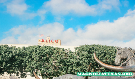 7 Tempat Wisata di Waco Texas Selain Pasar Magnolia