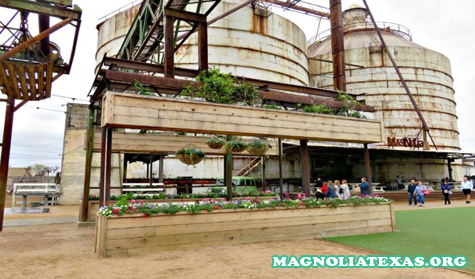 5 Hal Seru Untuk Dilakukan Bersama Keluarga di Magnolia Market